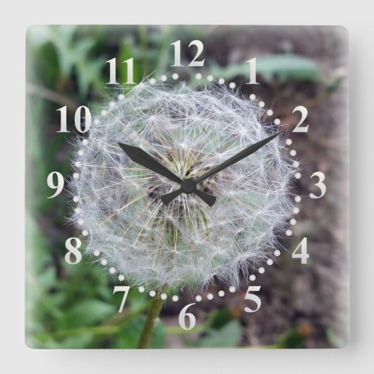 Horloge Carrée fleur de pissenlit (Recto)