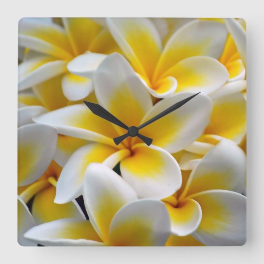 Horloge Carrée Fleur Frangipani Plumeria (Recto)