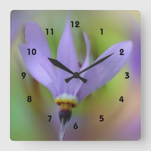 Horloge Carrée Fleur pourpre (Recto)