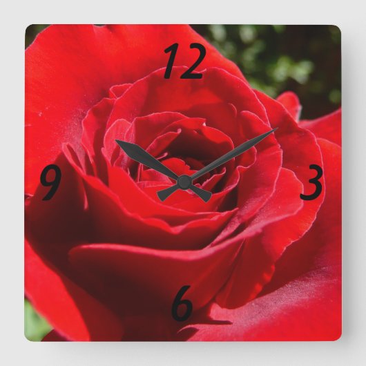 Horloge Carrée Fleur rose rouge vif Belle florale (Recto)