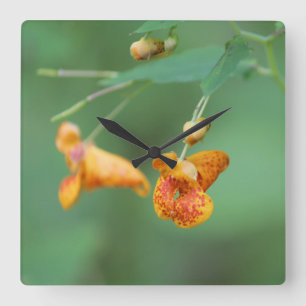 Horloge Carrée Fleur sauvage décoratif orange