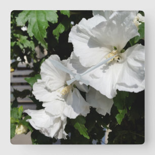 Horloge Carrée fleurs blanches accueillantes