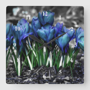 Horloge Carrée Fleurs bleues de crocus d'Aqua