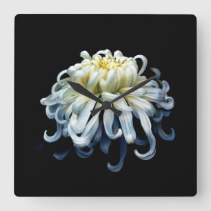 Horloge Carrée Fleurs   Chrysanthème blanc