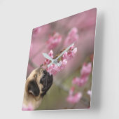 Horloge Carrée Fleurs de cerises de carlin (Angle)