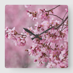 Horloge Carrée Fleurs de cerisier Sakura Pastel rose calque