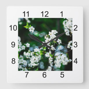 Horloge Carrée Fleurs de cerisiers blancs Feuilles verts