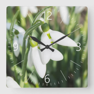 Horloge Carrée Fleurs de neige