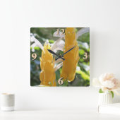 Horloge Carrée Fleurs de Plante de crevettes dorées (Maison)