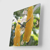 Horloge Carrée Fleurs de Plante de crevettes dorées (Angle)