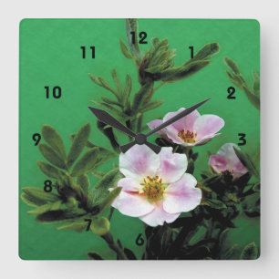 Horloge Carrée fleurs de rose rose sauvage en vert, Élégant