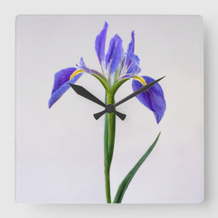 Horloge Carrée Fleurs Fleur Iris Violet