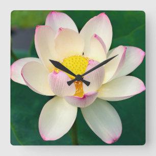 Horloge Carrée Fleurs Lotus Water Flower