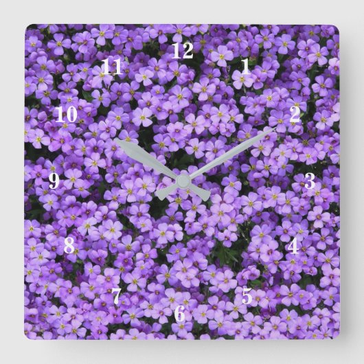 Horloge Carrée Fleurs violettes (Recto)