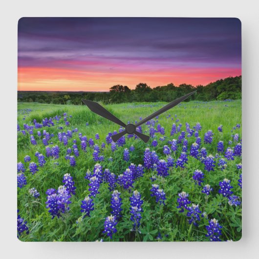 Horloge Carrée Flowers | Bluebonnets at Sunset Texas (Recto)