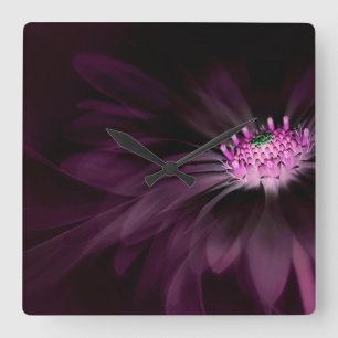 Horloge Carrée Flowers (homonymie) Daisy