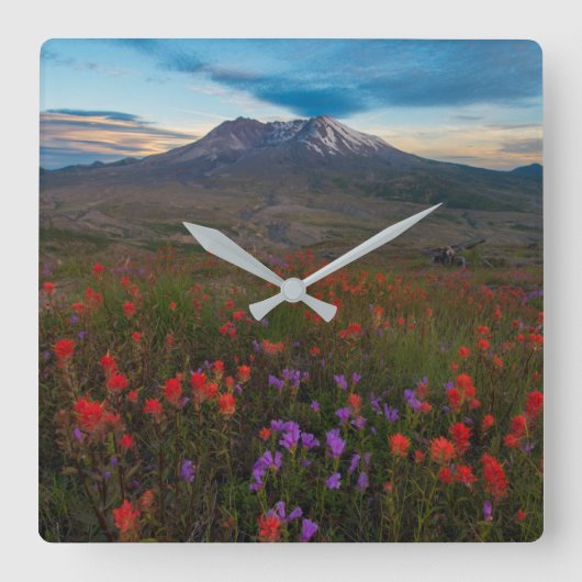 Horloge Carrée Flowers | Indian Paintbrush & Penstemon (Recto)