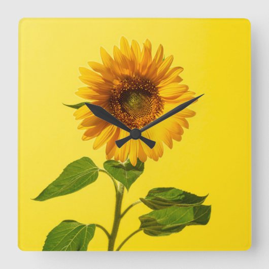 Horloge Carrée Flowers | Sunflower on Yellow (Recto)
