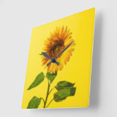 Horloge Carrée Flowers | Sunflower on Yellow (Angle)