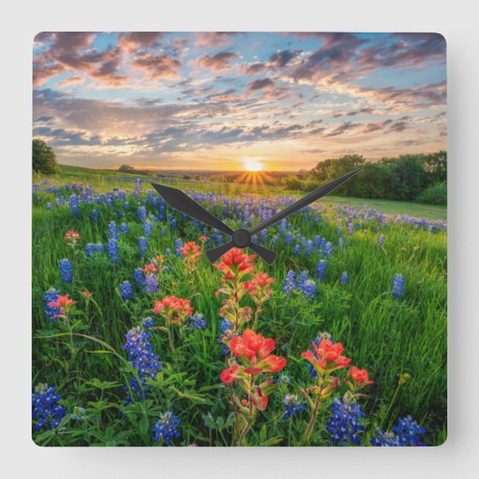 Horloge Carrée Flowers | Texas Bluebonnets & Indian Paintbrush (Recto)