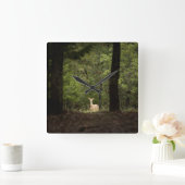 Horloge Carrée Forest | A White Tailed Deer in the Woods (Maison)