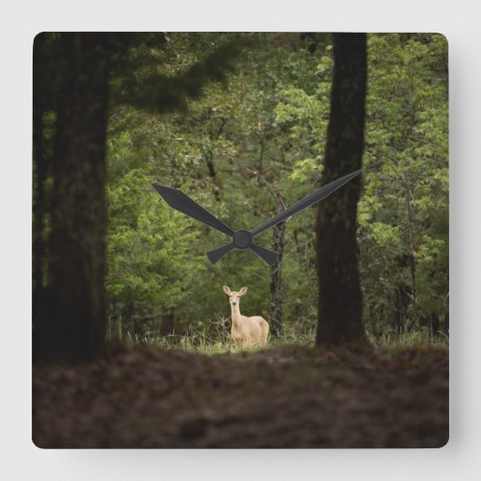 Horloge Carrée Forest | A White Tailed Deer in the Woods (Recto)