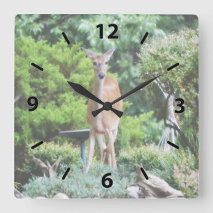Horloge Carrée Forest Deer
