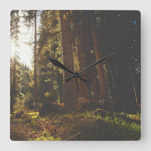 Horloge Carrée Forêt