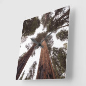 Horloge Carrée forêt, arbre (Angle)