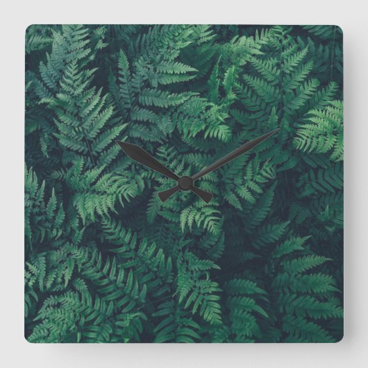 Horloge Carrée Forêt | Fermes des bois (Recto)