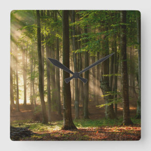 Horloge Carrée Forêt Forêt d'automne