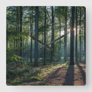 Horloge Carrée Forêt   Forêt Noire Allemagne
