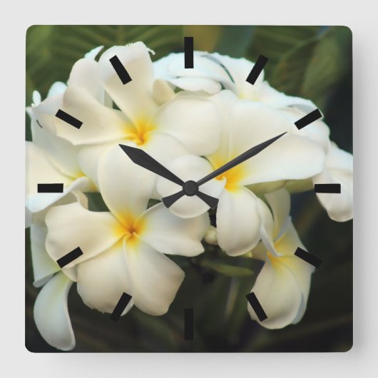 Horloge Carrée Frangipani fleurs de bouquet (Recto)