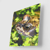 HORLOGE CARRÉE FROG (Angle)