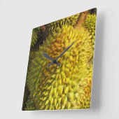 Horloge Carrée Fruit durian (Angle)