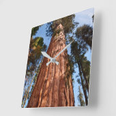 Horloge Carrée Géant Séquoia S'élève (Angle)