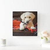 Horloge Carrée Getty Images | Puppy On A Sofa (Maison)