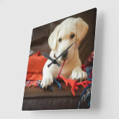 Horloge Carrée Getty Images | Puppy On A Sofa (Angle)