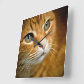 Horloge Carrée Gingembre adorable Tabby Chat Poster Portrait anim (Angle)