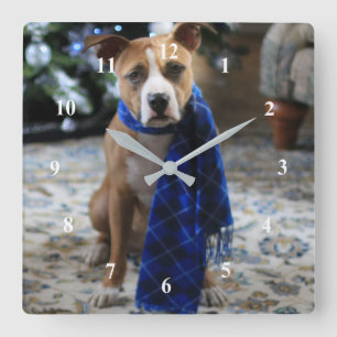 Horloge Carrée Gite Cheval de Pit Bull Secourir Chien
