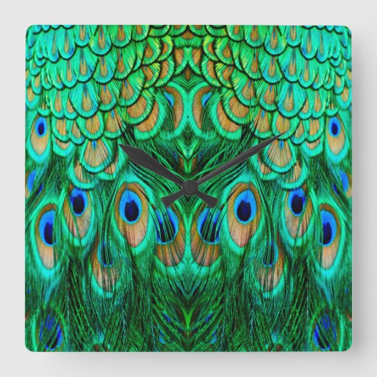 Horloge Carrée Glorious Peacock (Recto)