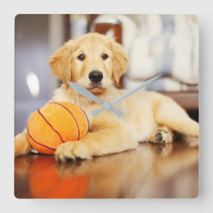 Horloge Carrée Golden Retriever avec un jouet de basket