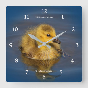 Horloge Carrée Goose Gosling