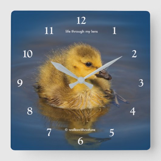 Horloge Carrée Goose Gosling (Recto)