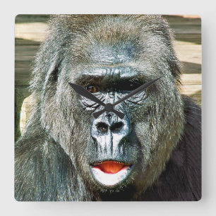 HORLOGE CARRÉE GORILLA FRAÎCHE