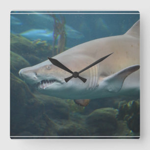 Horloge Carrée Grand requin blanc effrayant