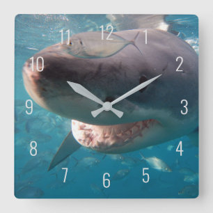 Horloge Carrée Grand requin blanc près sous l'eau Australie