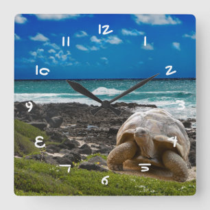 Horloge Carrée Grande tortue au bord de mer