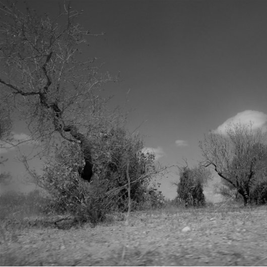 HORLOGE CARRÉE GRAPHIQUE ET CONCEPTION