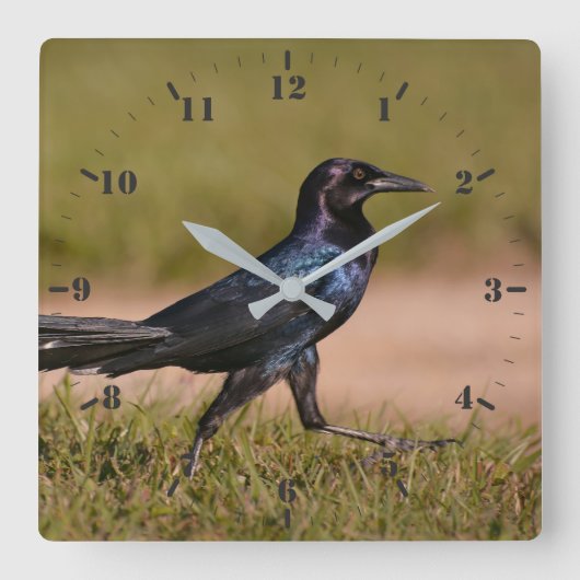 Horloge Carrée Graquette à queue de bateau (Recto)